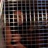 Hardcore Abductions #35 Kidnapped